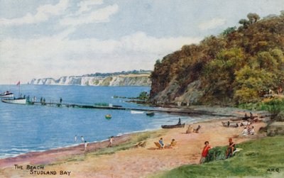 Der Strand, Studland Bay von Alfred Robert Quinton